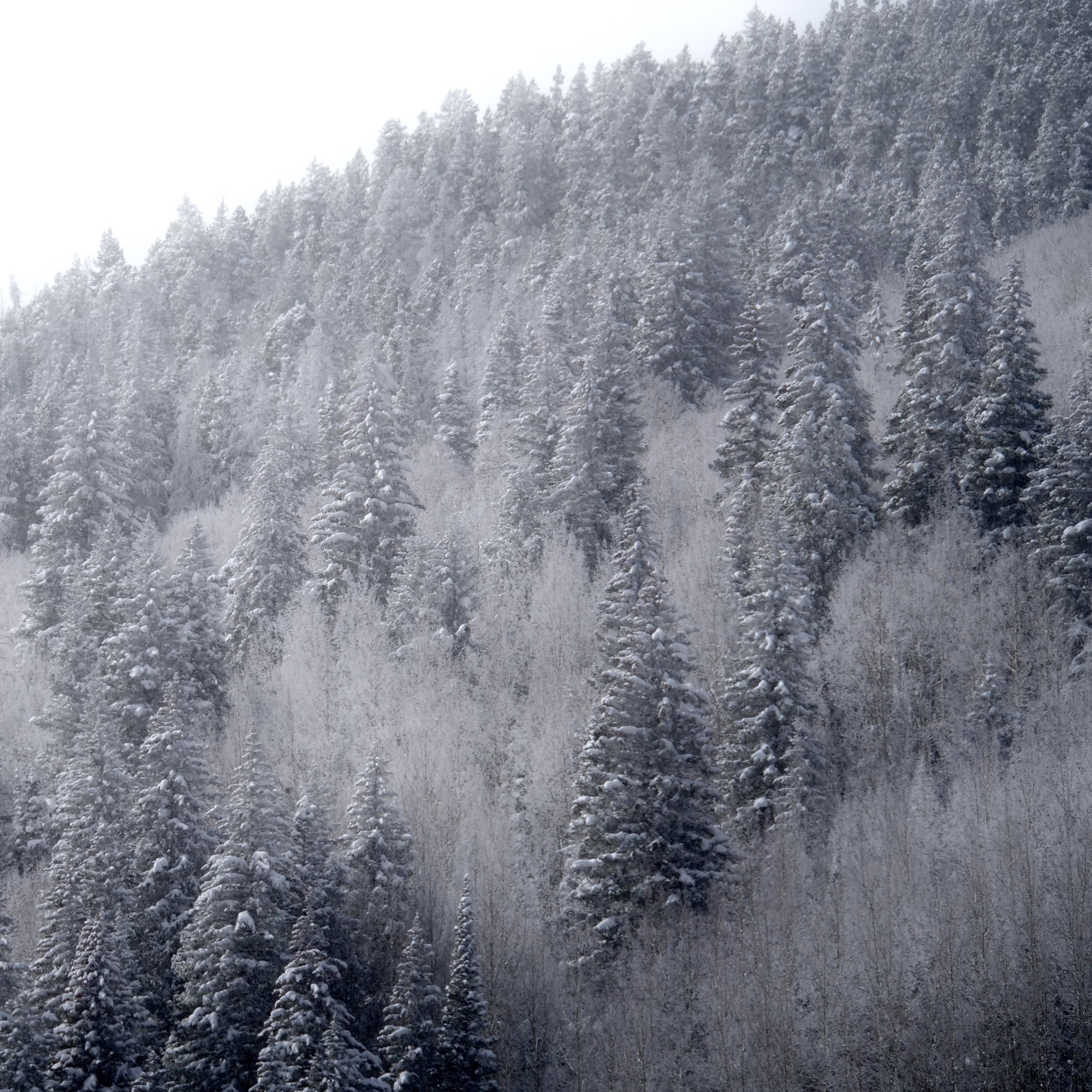 Landscape and aerial nature photography by Hannah Leeb