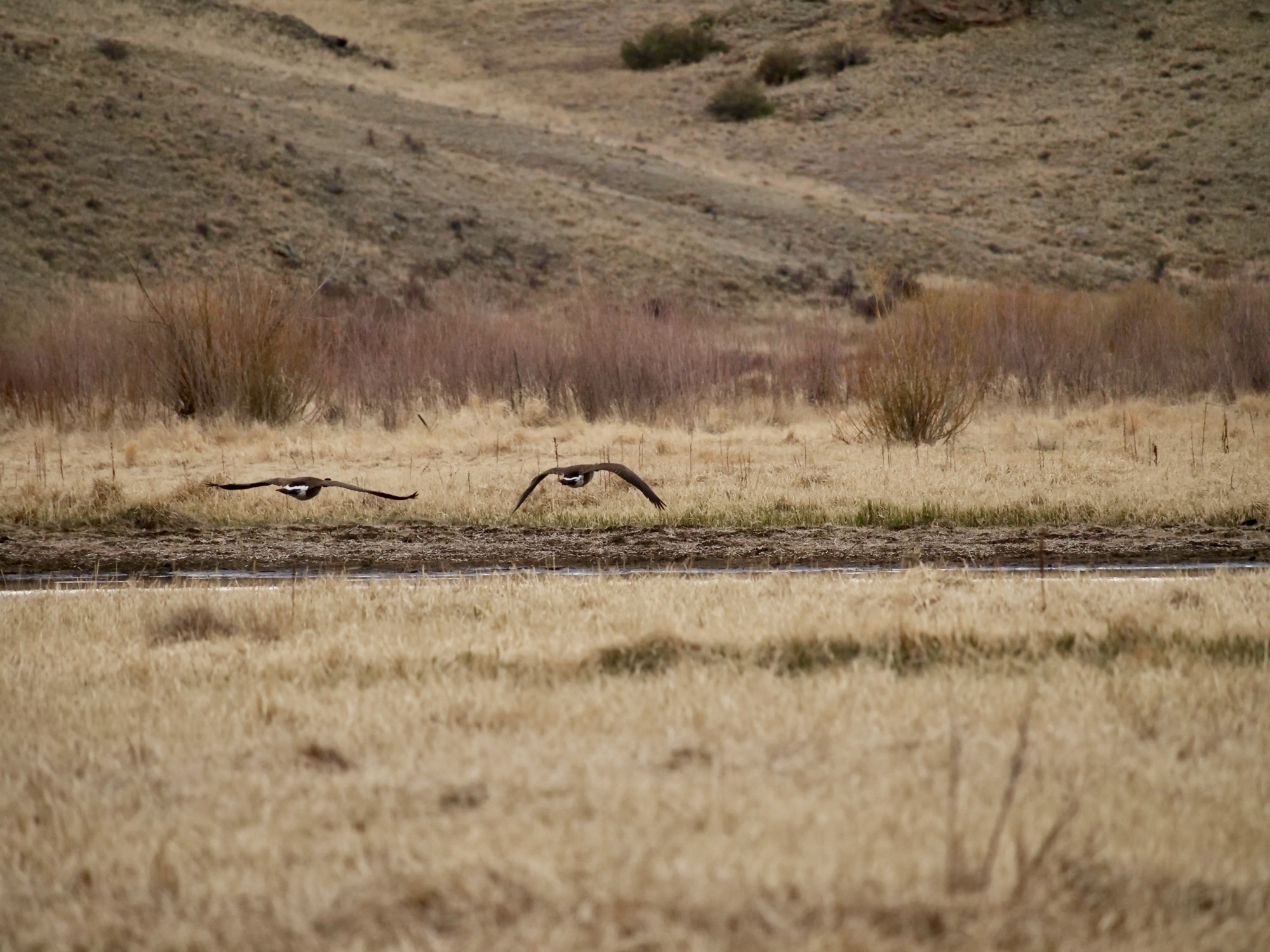 Landscape and aerial nature photography by Hannah Leeb
